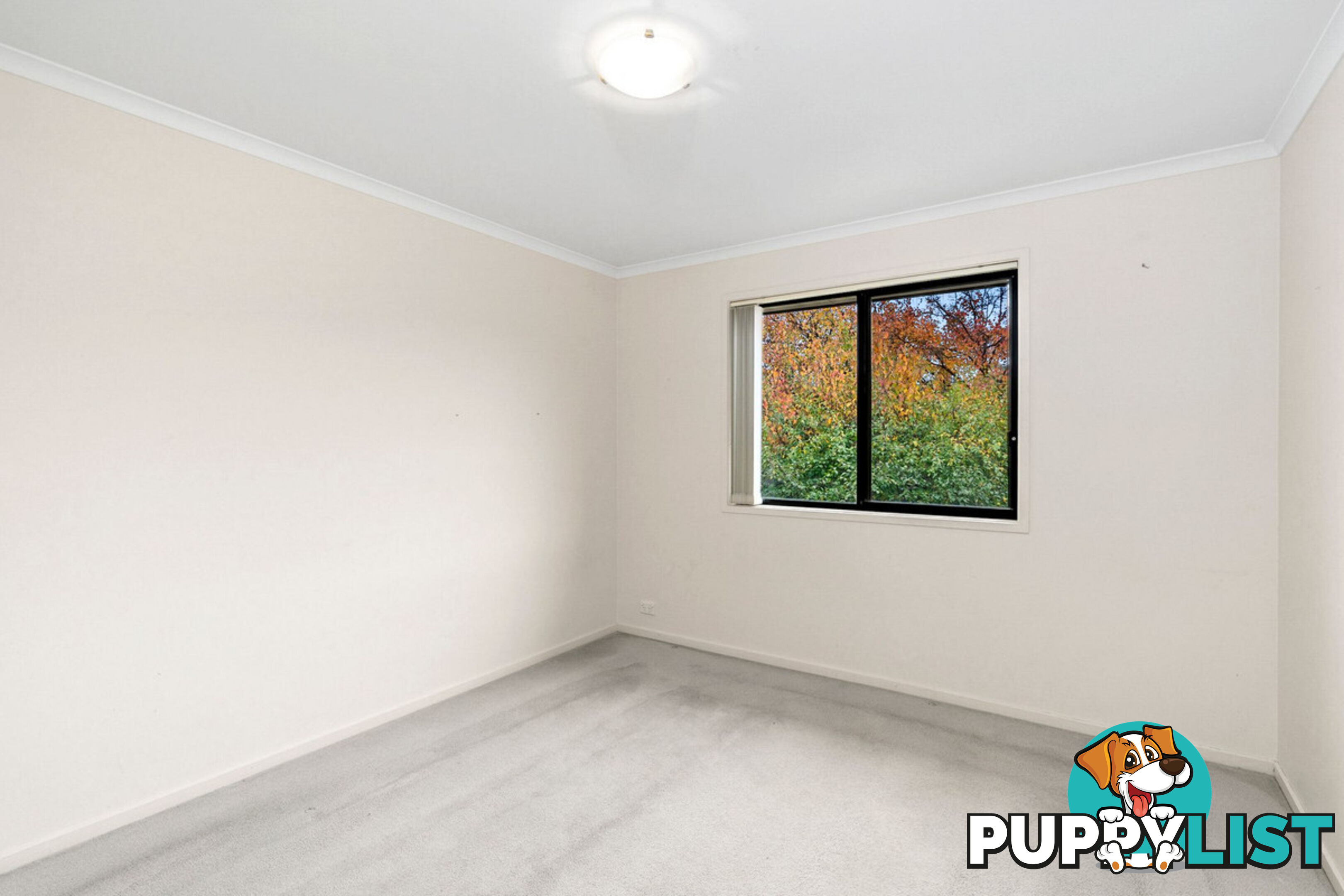 5/60 Paul Coe Crescent NGUNNAWAL ACT 2913