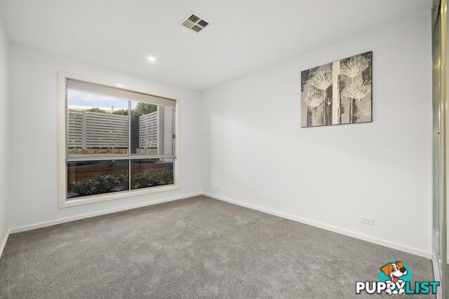 16/15 Stockman Avenue LAWSON ACT 2617