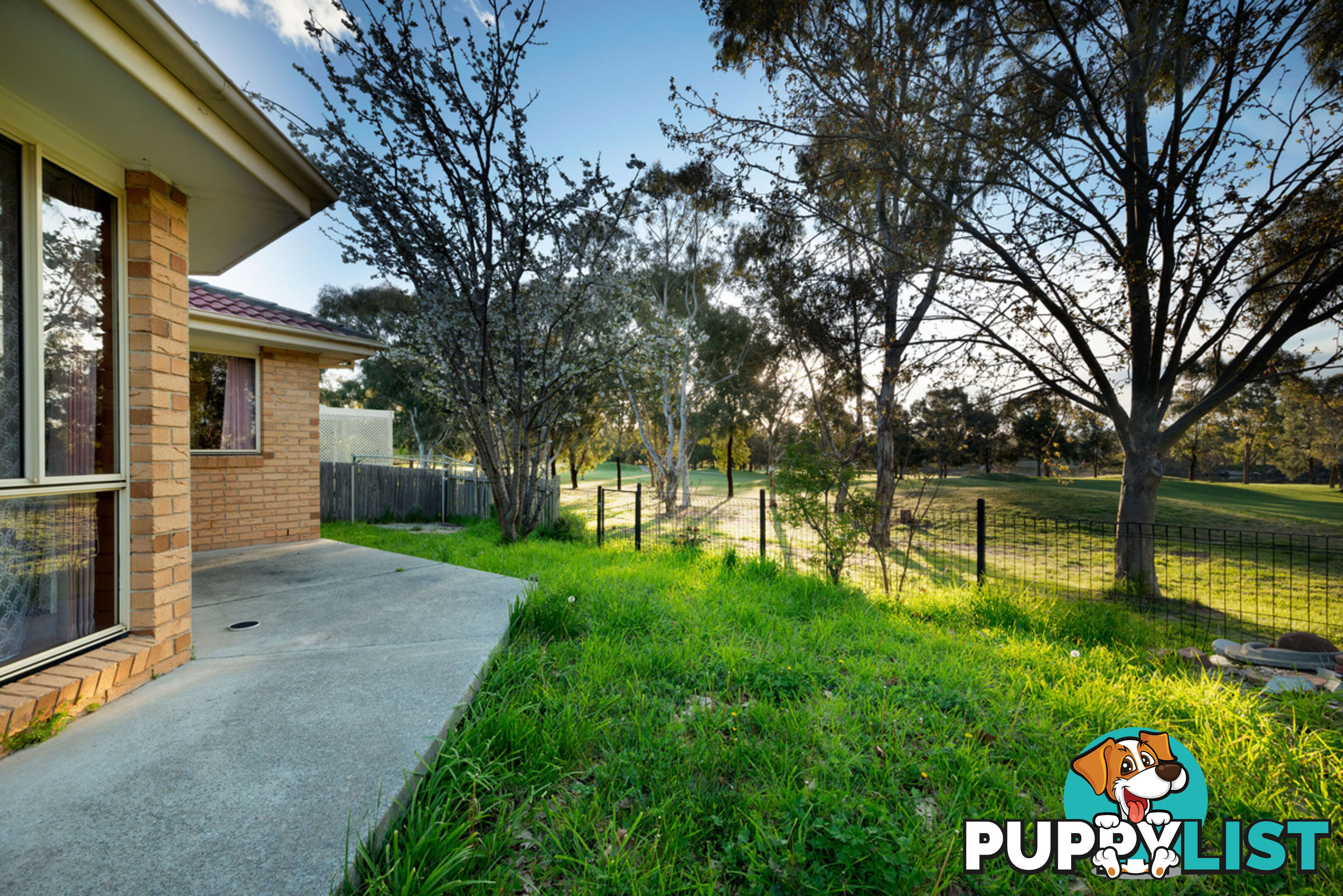 17 Rosella Street NICHOLLS ACT 2913