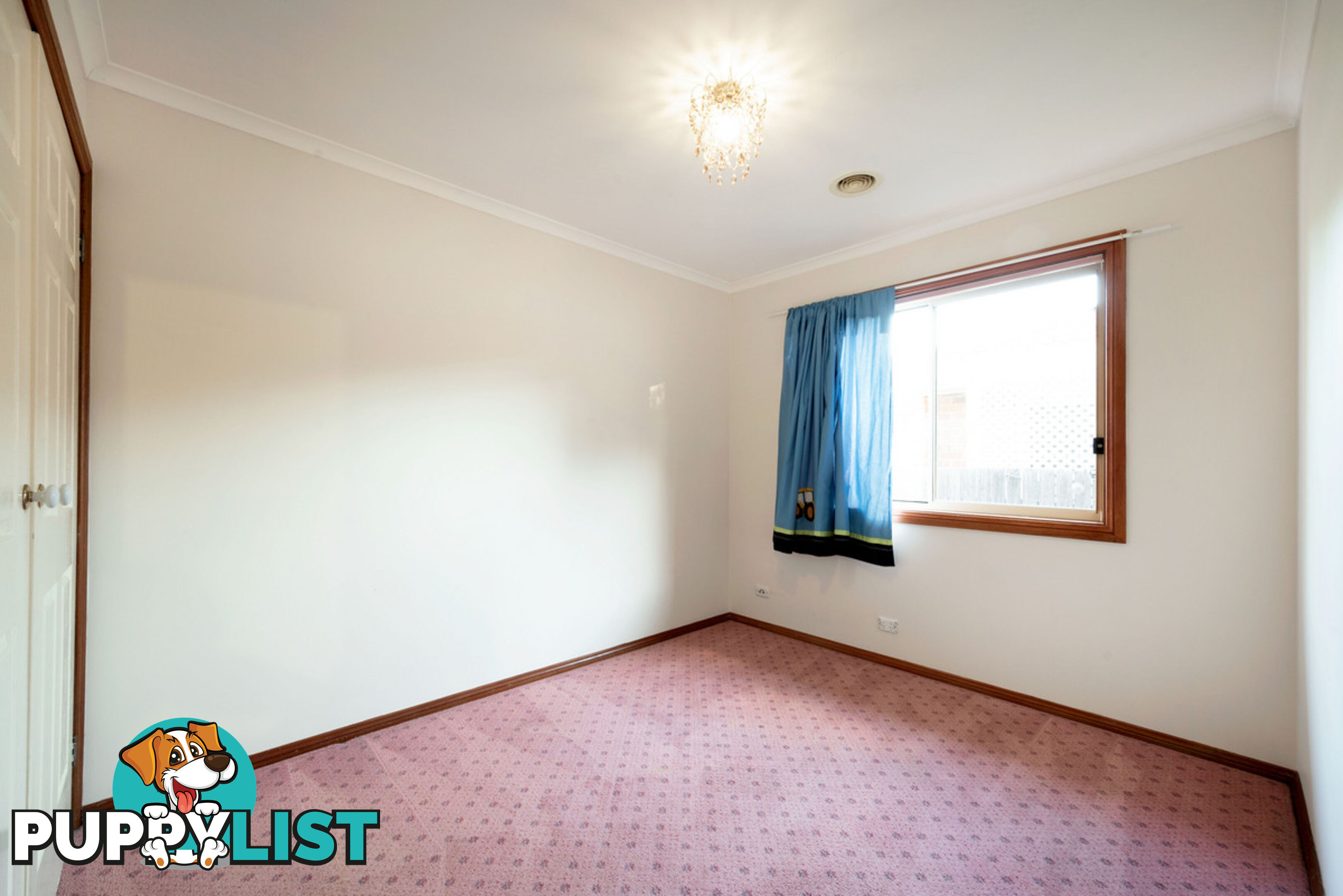 17 Rosella Street NICHOLLS ACT 2913