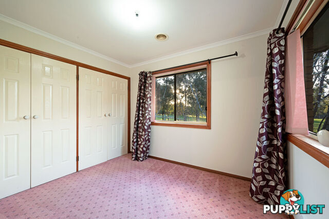 17 Rosella Street NICHOLLS ACT 2913