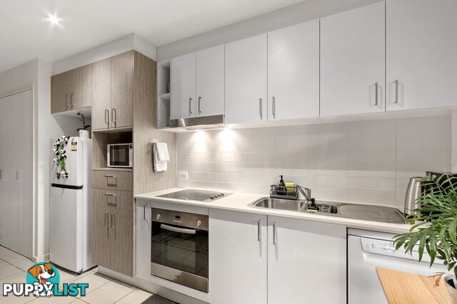 17/80 Henty Street BRADDON ACT 2612