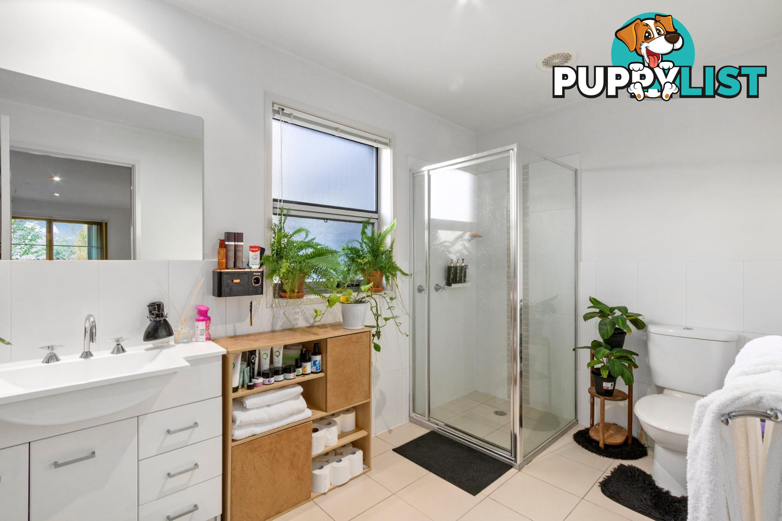 17/80 Henty Street BRADDON ACT 2612