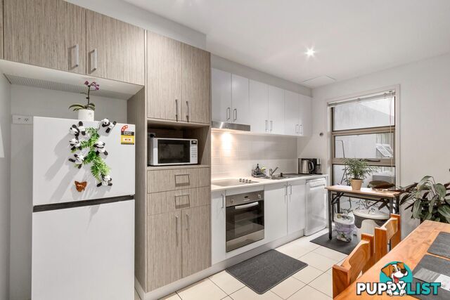 17/80 Henty Street BRADDON ACT 2612