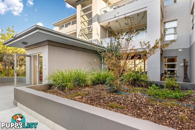 17/80 Henty Street BRADDON ACT 2612