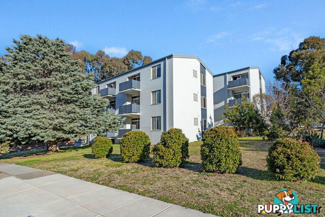 11/5 Parkhill Street PEARCE ACT 2607