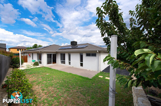 5 Marcus Street FORDE ACT 2914