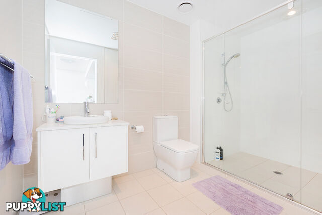 177/116 Easty Street PHILLIP ACT 2606