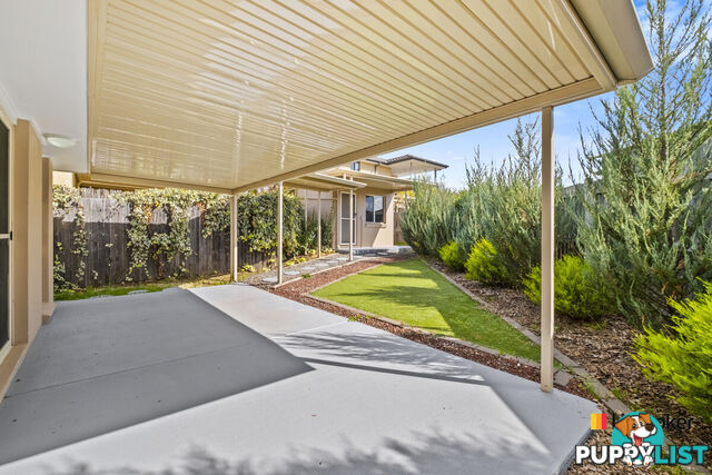 79 Donald Horne Circuit FRANKLIN ACT 2913
