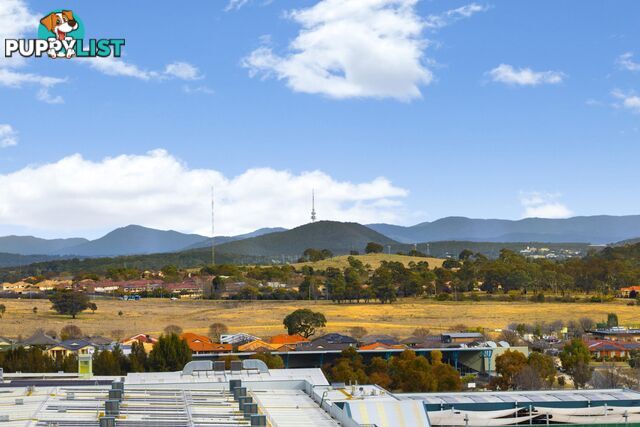 914/2 Gribble Street GUNGAHLIN ACT 2912