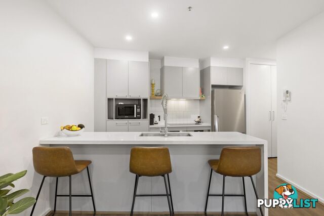 914/2 Gribble Street GUNGAHLIN ACT 2912