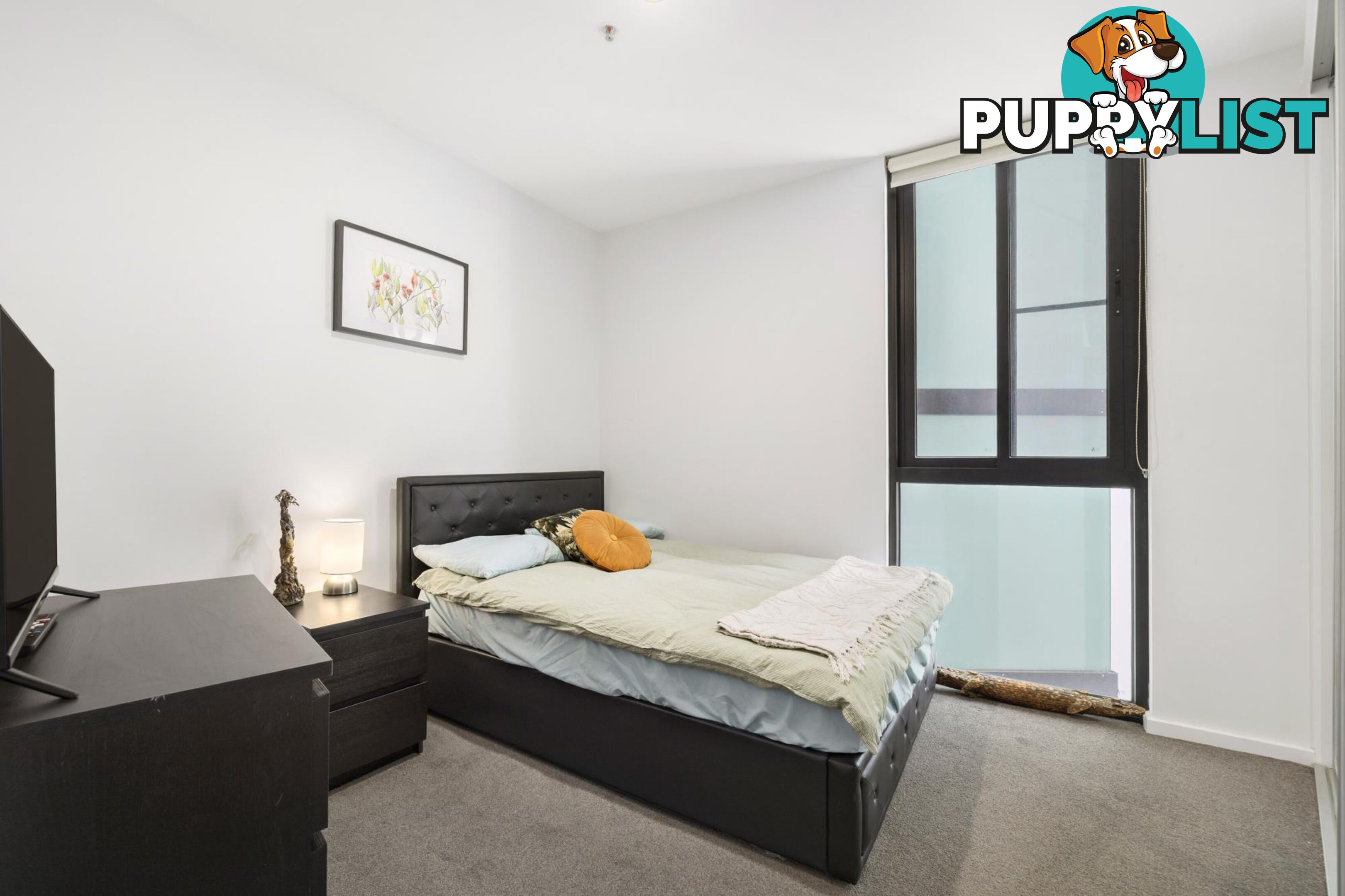 914/2 Gribble Street GUNGAHLIN ACT 2912