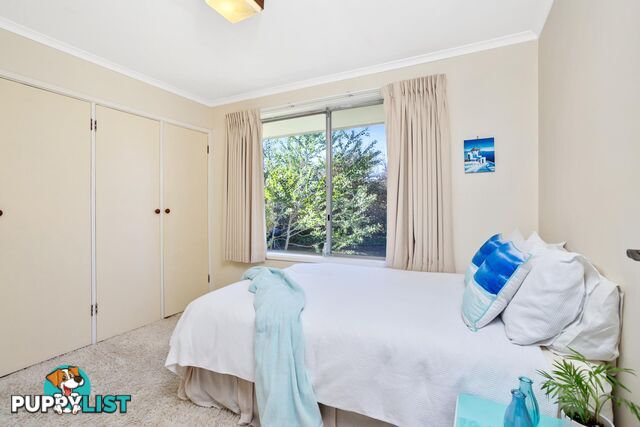 9 Sherwin Place MELBA ACT 2615