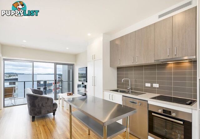 77/235 Flemington Road FRANKLIN ACT 2913