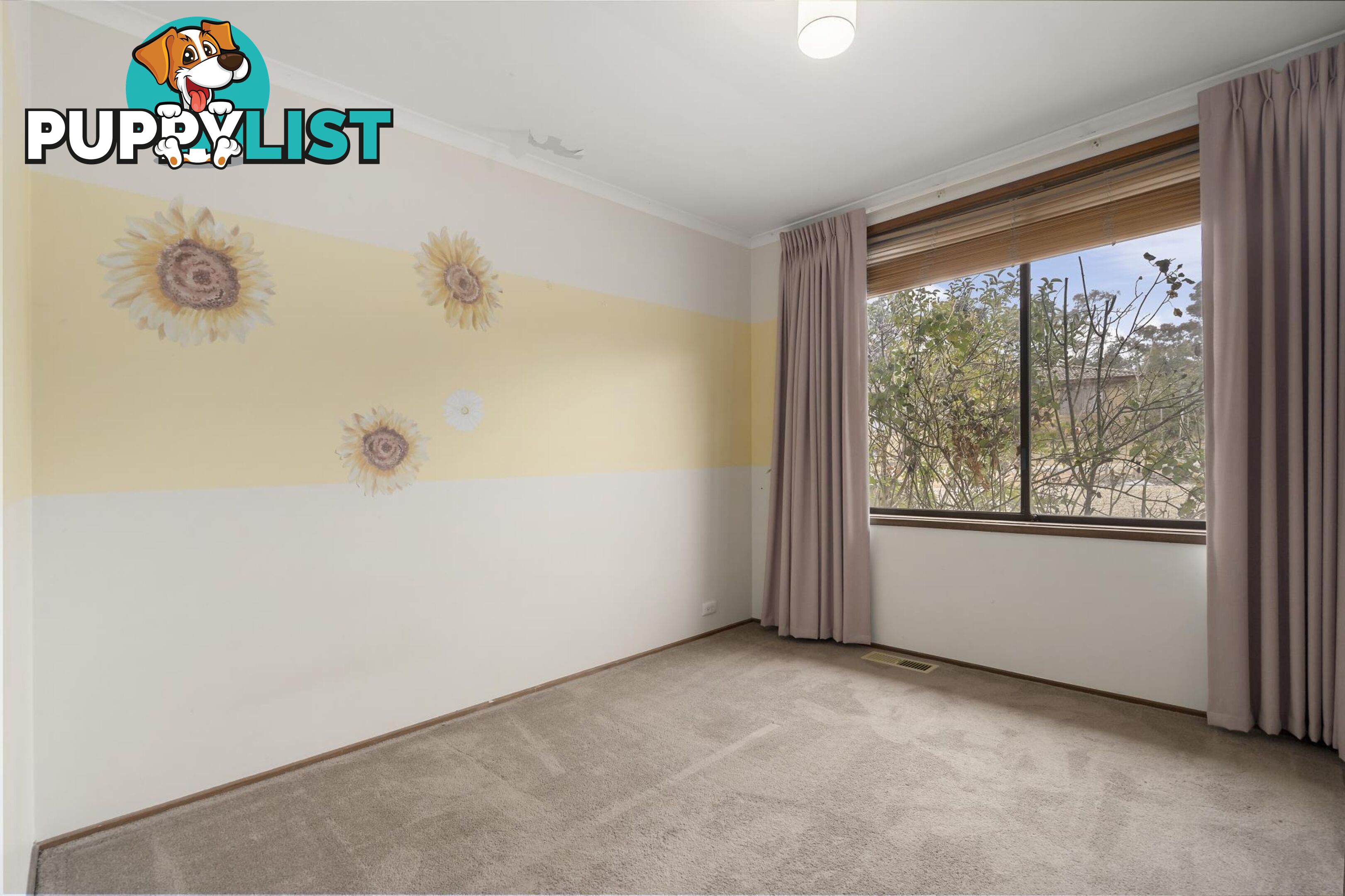 8 Macintyre Place CHARNWOOD ACT 2615