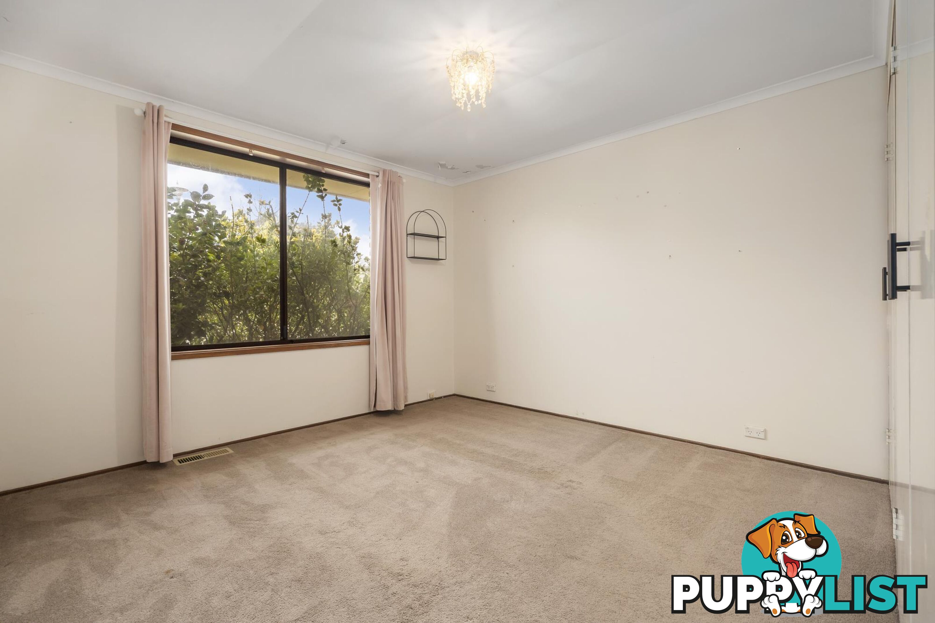 8 Macintyre Place CHARNWOOD ACT 2615