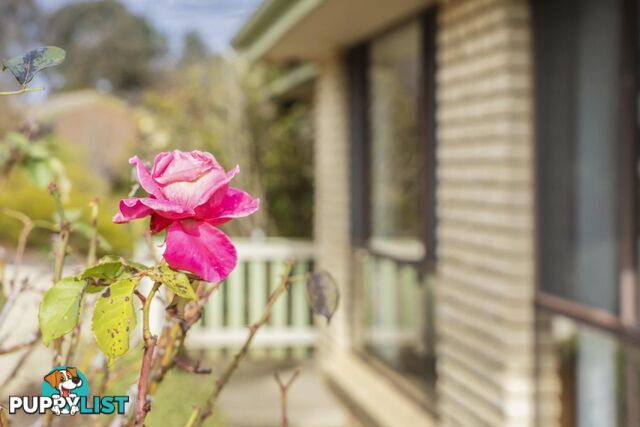 8 Macintyre Place CHARNWOOD ACT 2615