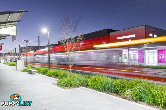 1305/100 Swain Street GUNGAHLIN ACT 2912