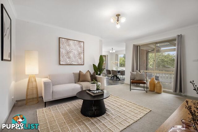 16 Phelp Court AMAROO ACT 2914
