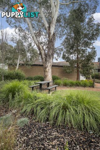 4/2 Playfair Place BELCONNEN ACT 2617