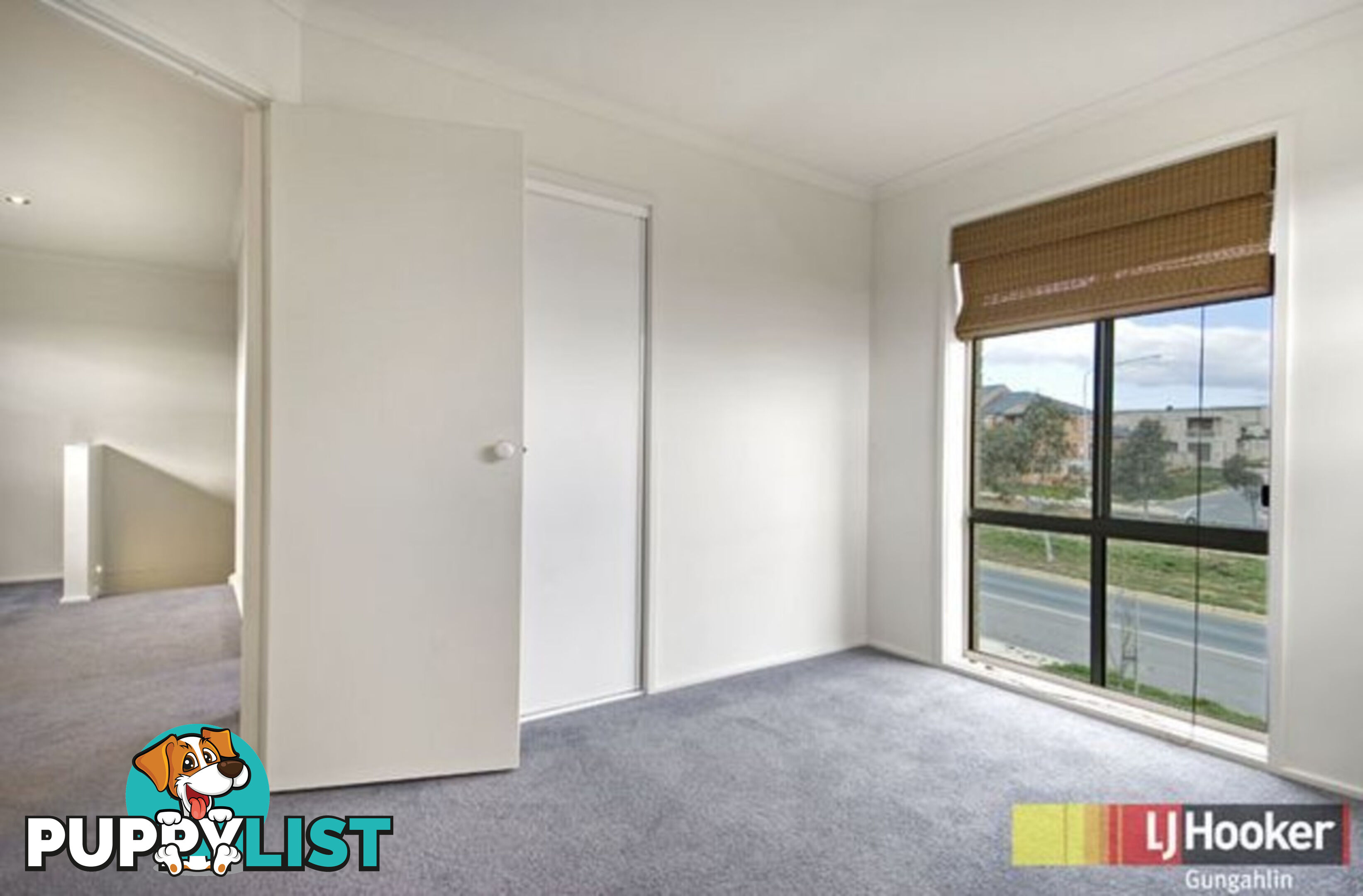 313 Anthony Rolfe Avenue GUNGAHLIN ACT 2912