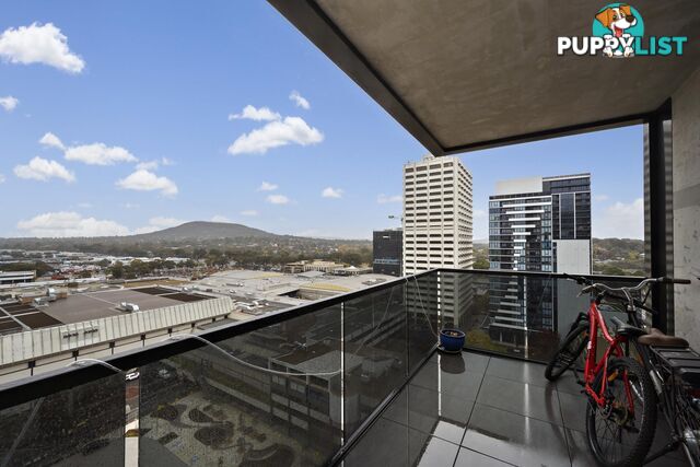 1417/15 Bowes Street PHILLIP ACT 2606