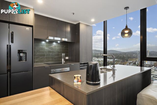 1417/15 Bowes Street PHILLIP ACT 2606