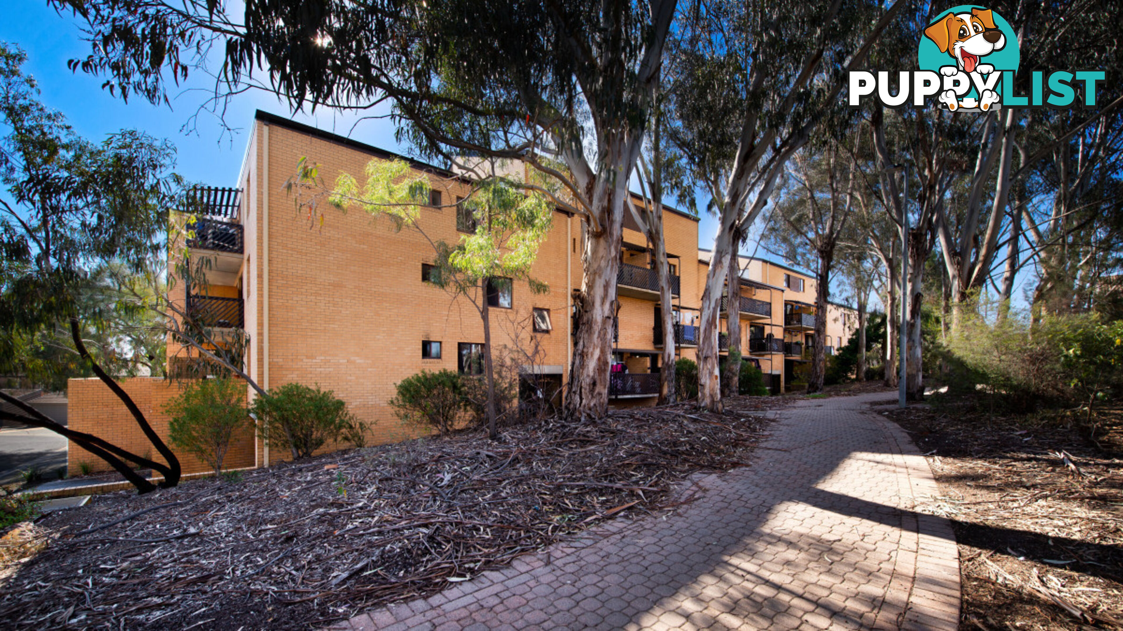 26/31 Disney Court BELCONNEN ACT 2617