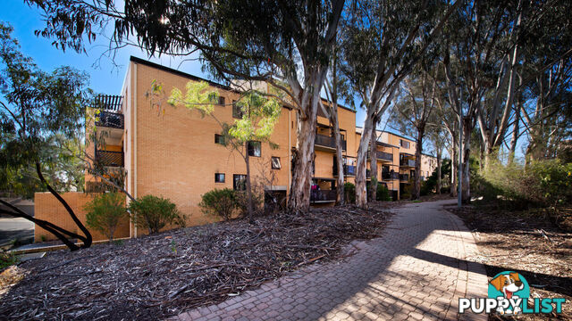 26/31 Disney Court BELCONNEN ACT 2617