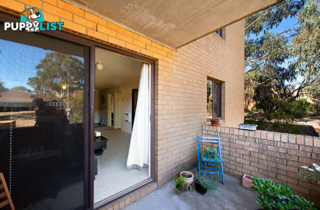 26/31 Disney Court BELCONNEN ACT 2617