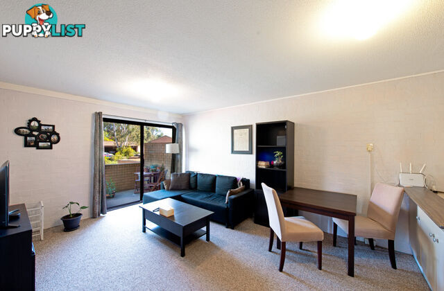 26/31 Disney Court BELCONNEN ACT 2617