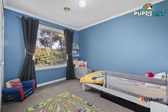 46 Brinkley Circuit PALMERSTON ACT 2913