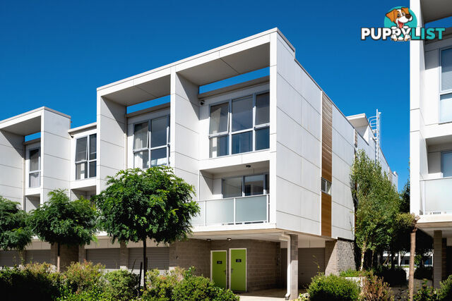 25/815 Horse Park Drive AMAROO ACT 2914