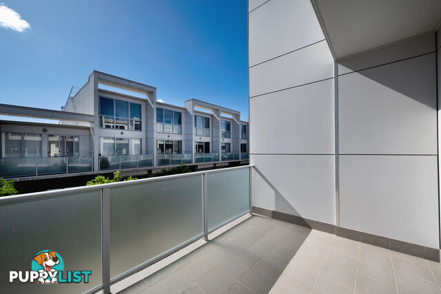 25/815 Horse Park Drive AMAROO ACT 2914