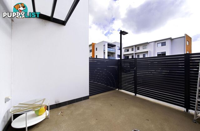 60/234 Flemington Road HARRISON ACT 2914