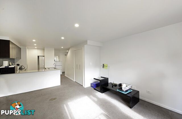 60/234 Flemington Road HARRISON ACT 2914