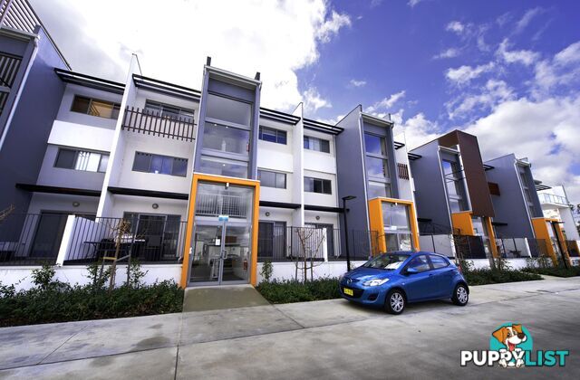 60/234 Flemington Road HARRISON ACT 2914