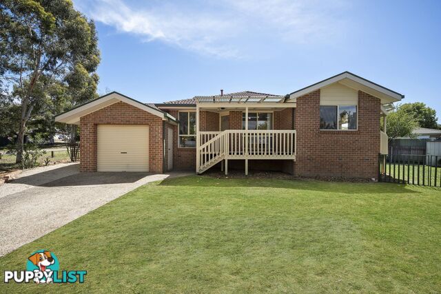 16 Phelp Court AMAROO ACT 2914