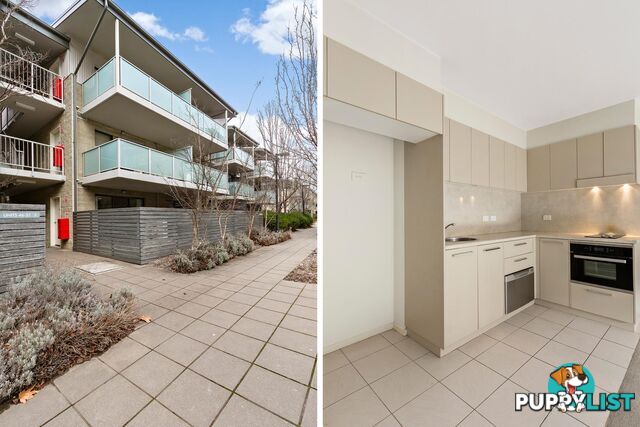 46/126 Thynne Street BRUCE ACT 2617