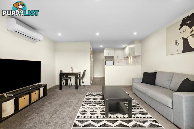 3/307 Flemington Road FRANKLIN ACT 2913