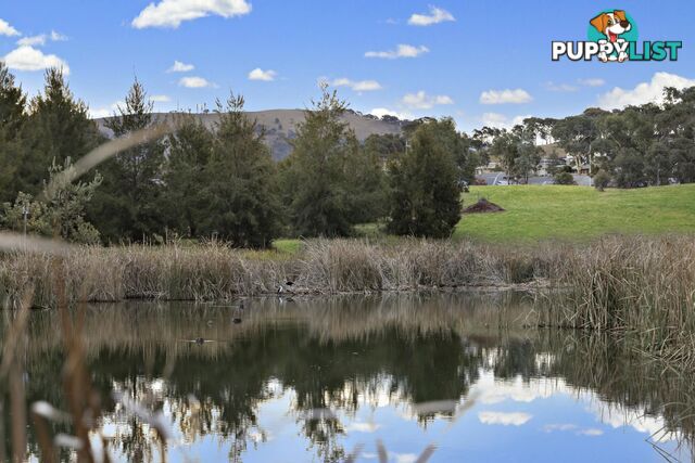 9 Honyong Crescent NGUNNAWAL ACT 2913