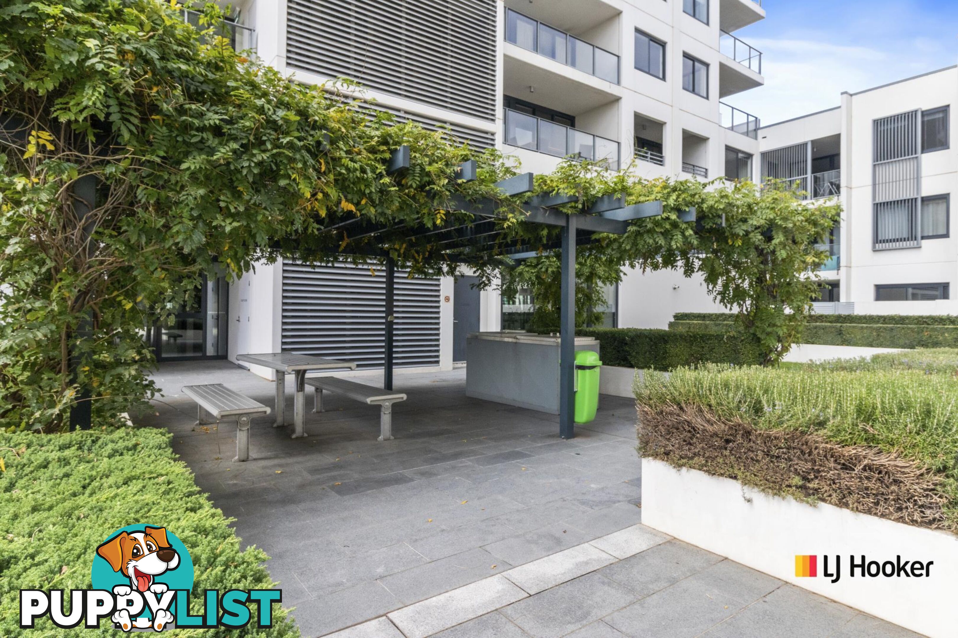 84/1 Mouat Street LYNEHAM ACT 2602