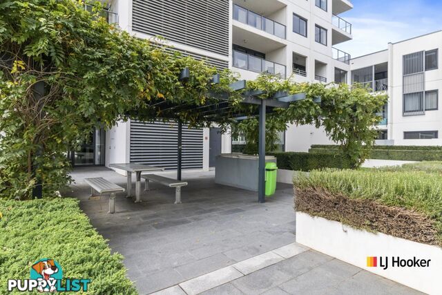 84/1 Mouat Street LYNEHAM ACT 2602