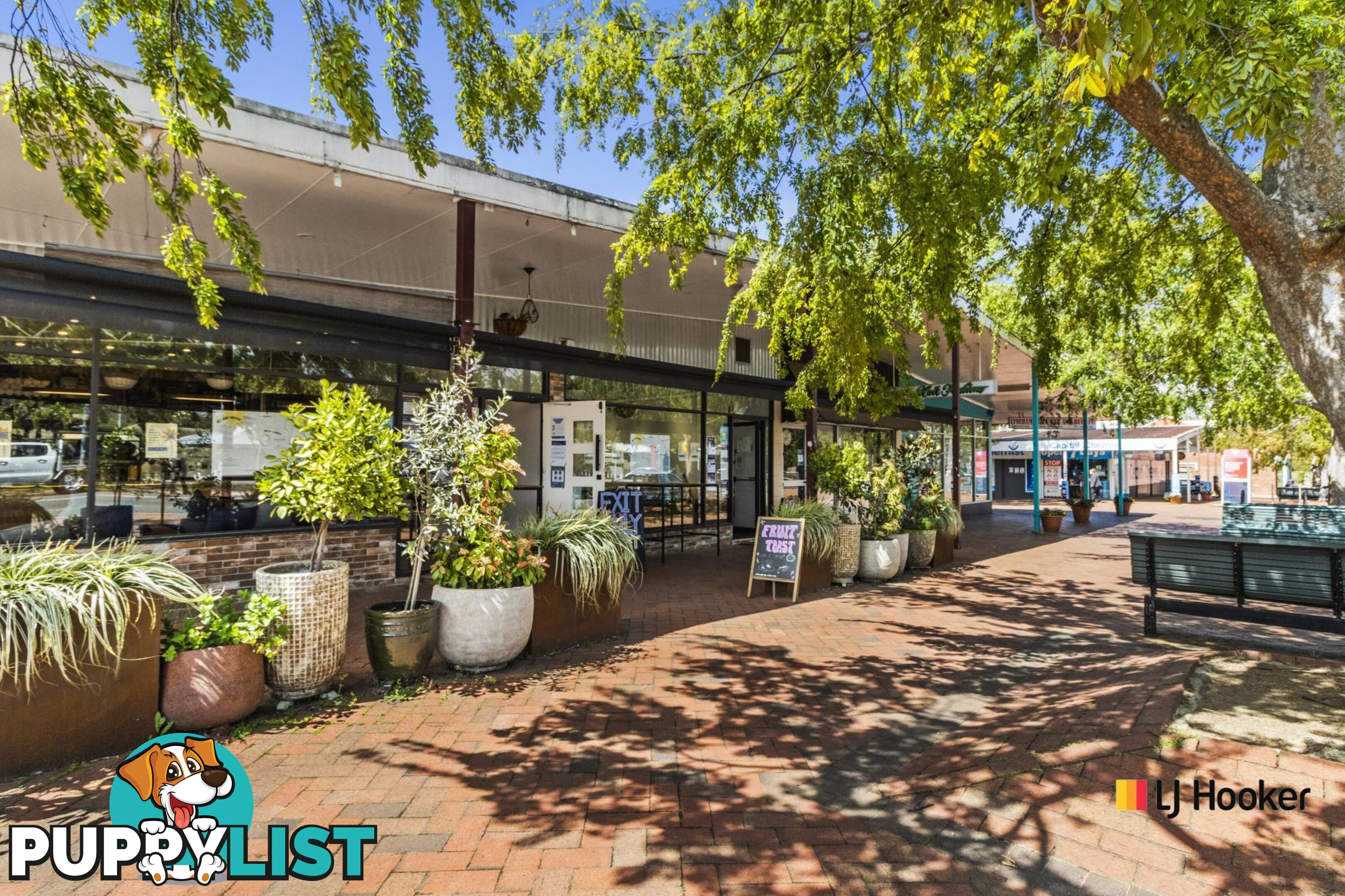 84/1 Mouat Street LYNEHAM ACT 2602