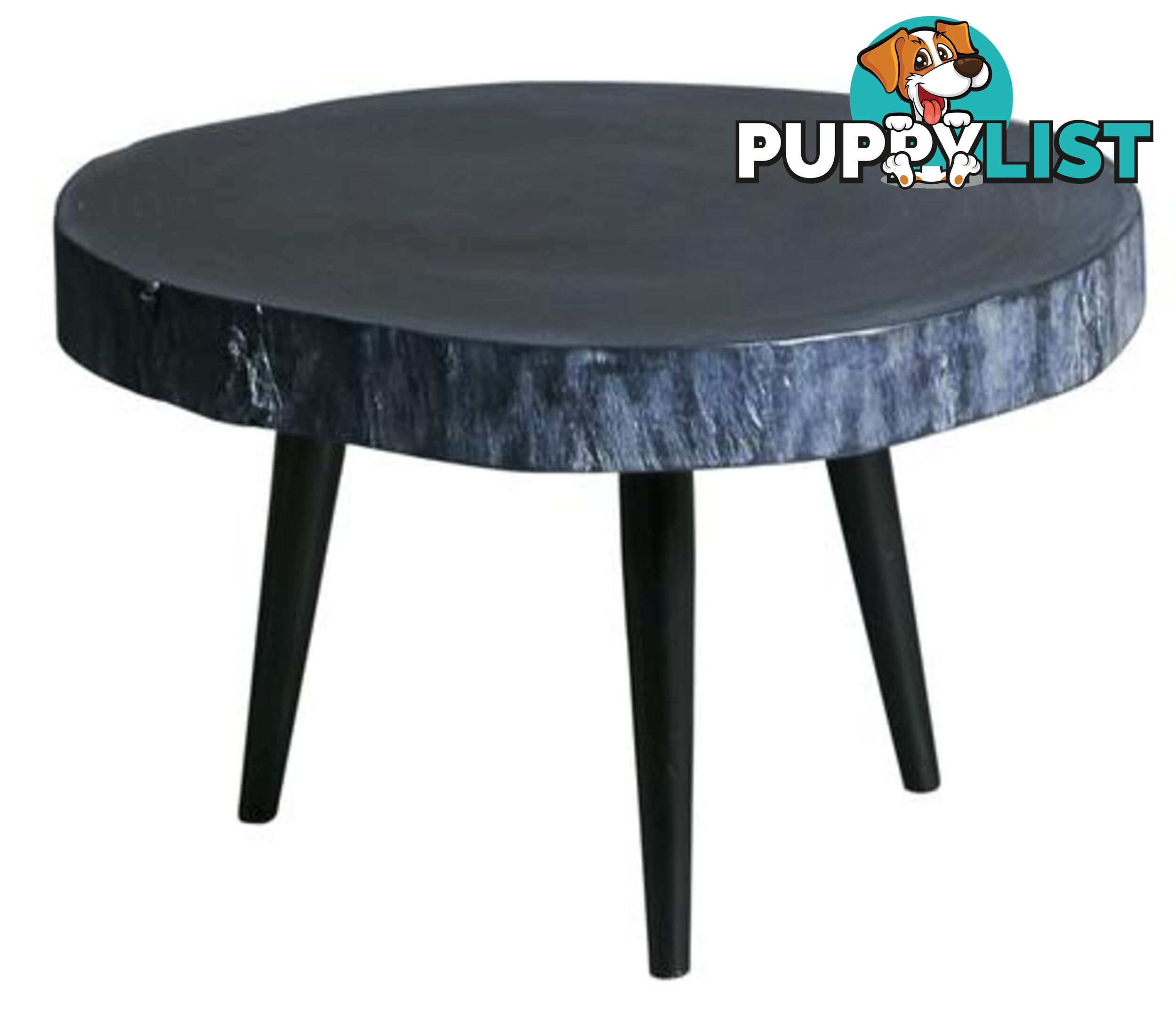 Black Wood Slab Low Table, Metal Legs