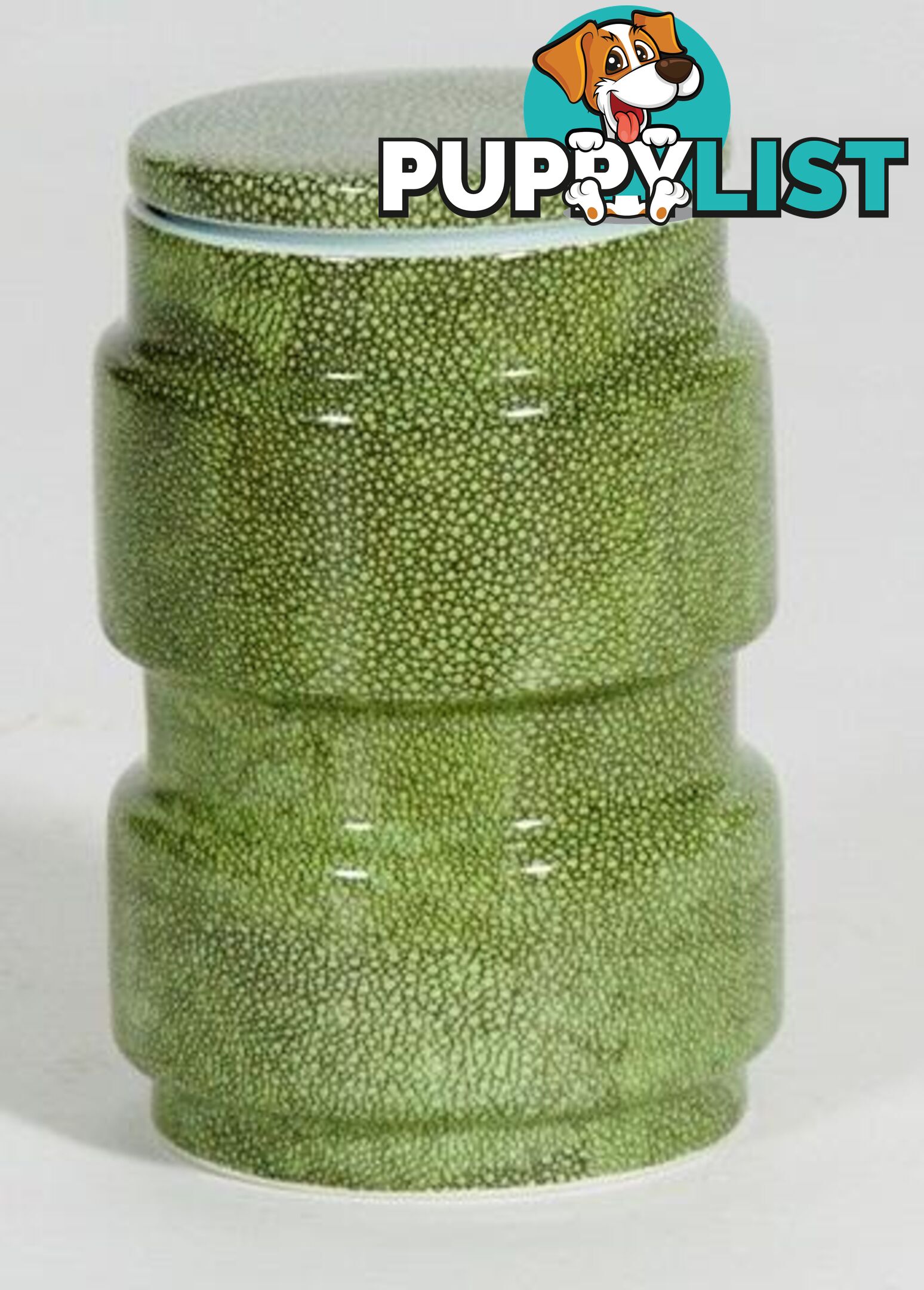 Large Container : green shagreen