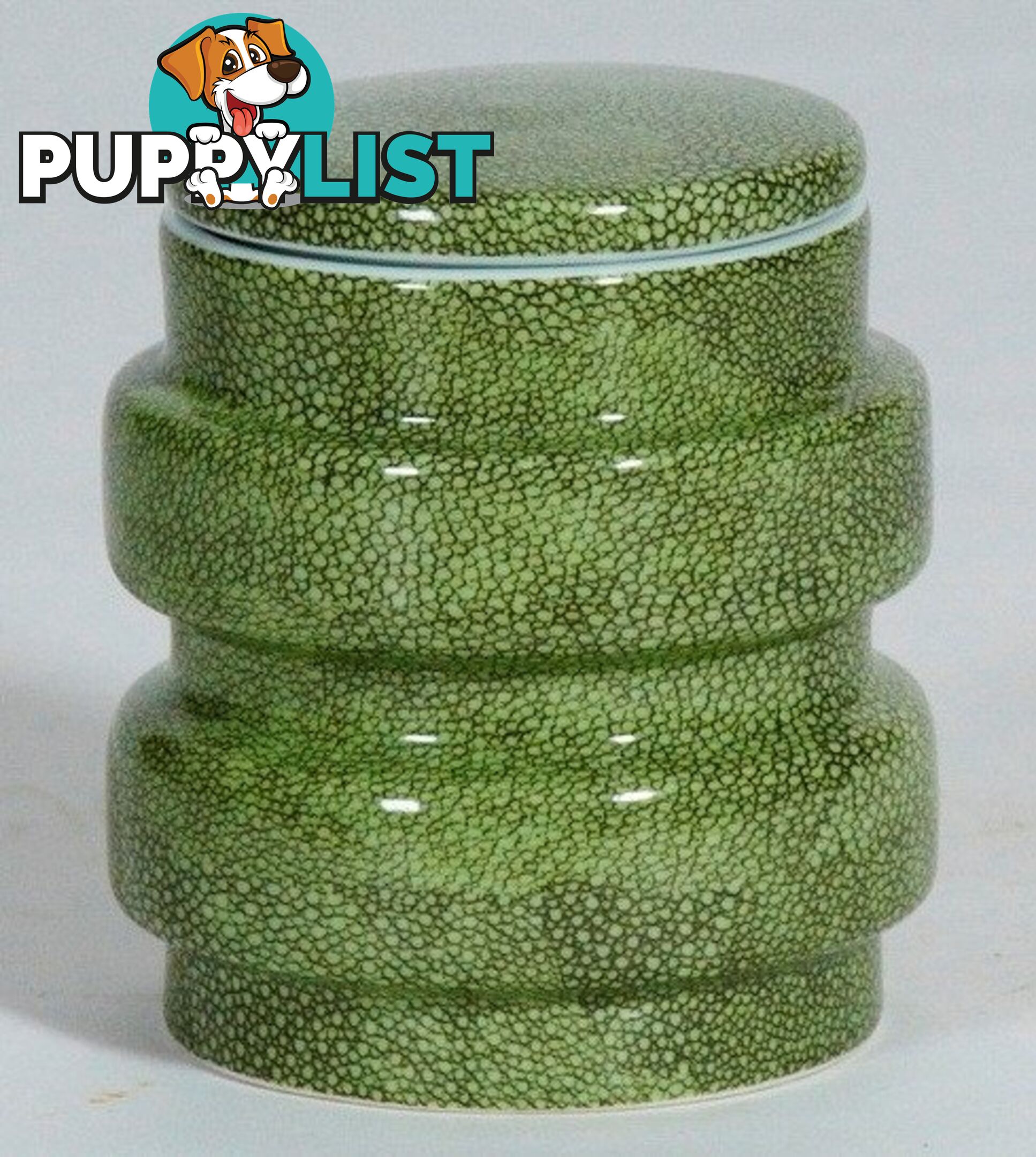 Container : Green Shagreen