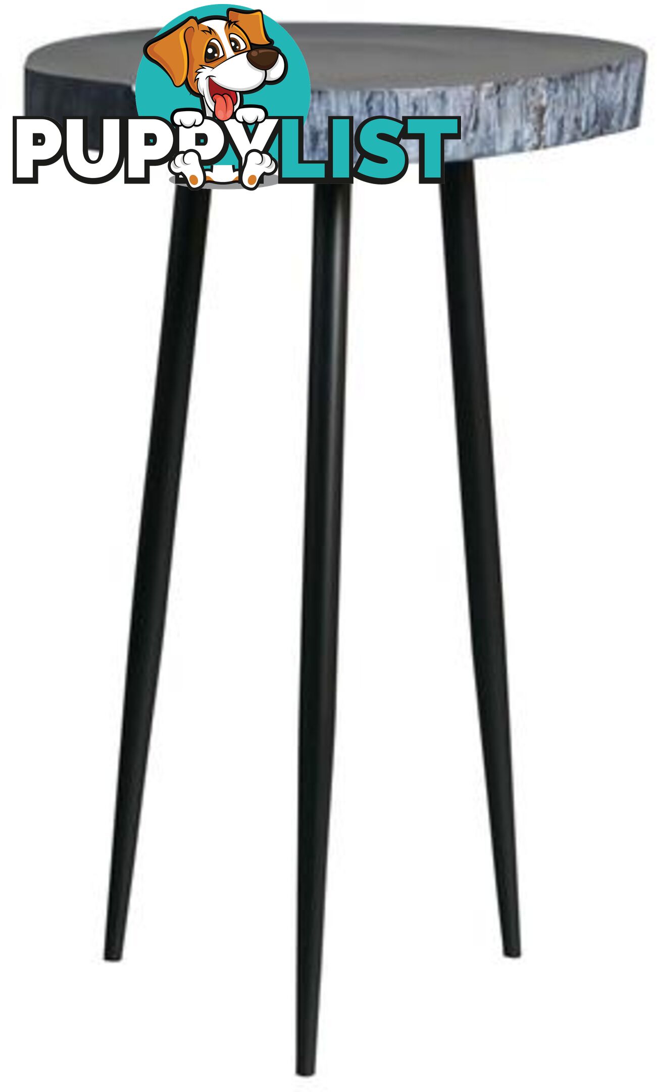 Black Wood Slab Display Table, Metal Legs