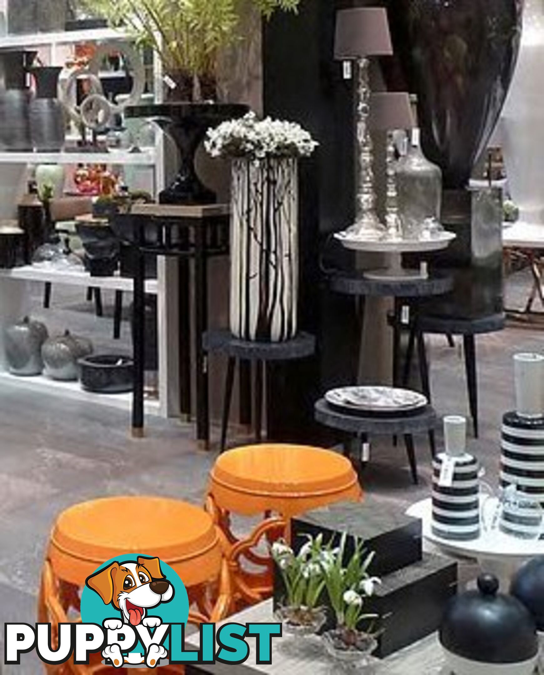 Black Wood Slab Display Table, Metal Legs