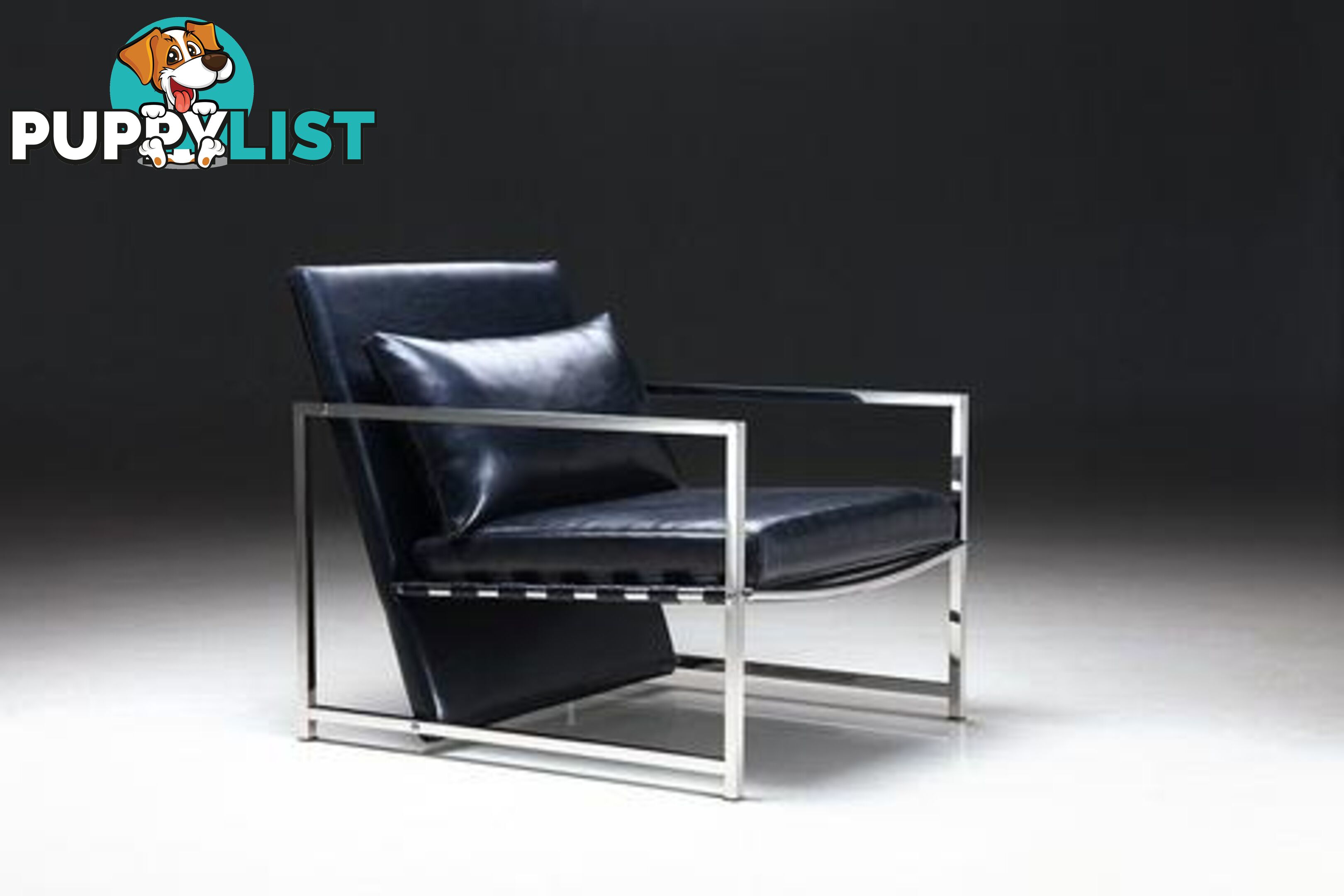 Zyba Leisure Chair?